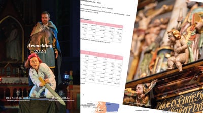 Årsrapporter / årsmeldinger