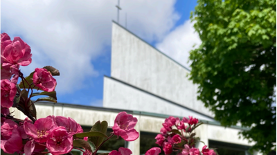 Vårblomster utenfor Landås kirke