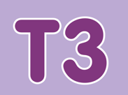 T3 - Advent