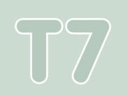 T7 - Sprell levande
