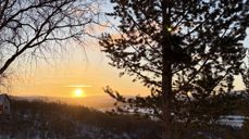 Morgensol foto: nancy anti