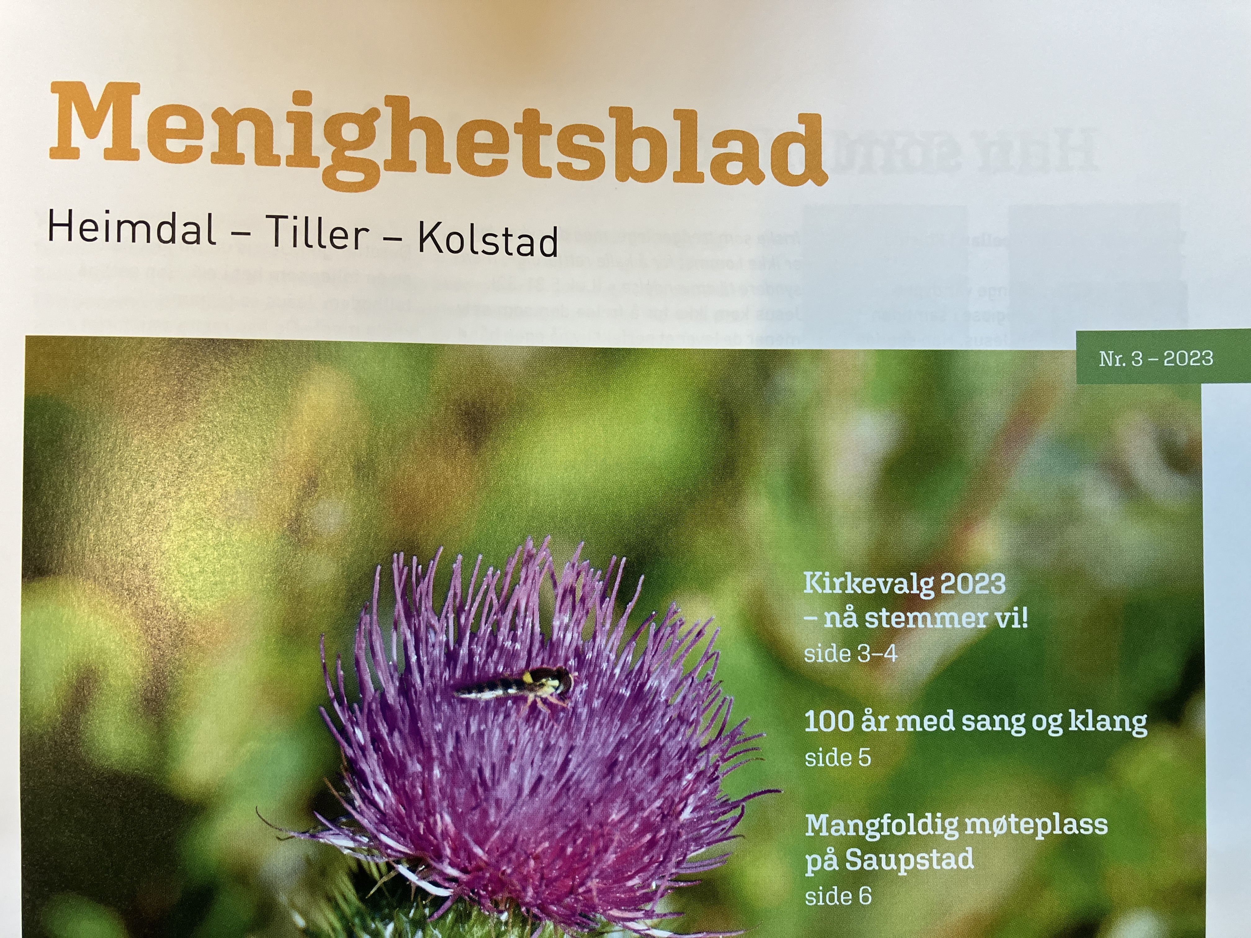 Menighetsblad - Tiller Menighet