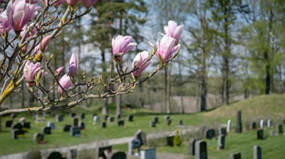 Foto Den norske kirke - Kirkerådet