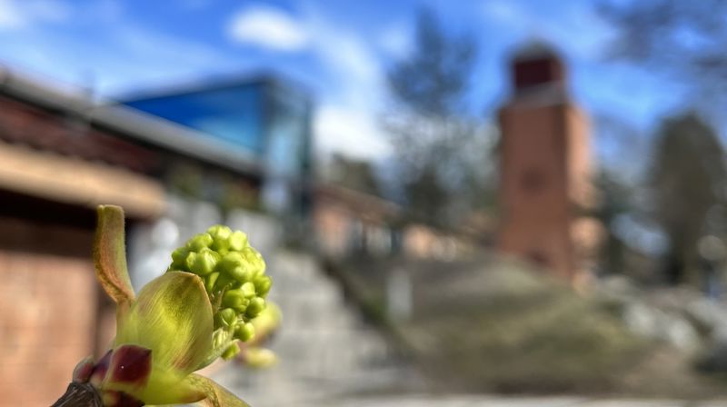 Velkommen til årsmøte 14. mai!