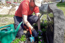 Planting av blomster ved gravminne. Foto: Mona Odden