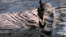 Illustrasjon: Marianne Gihle