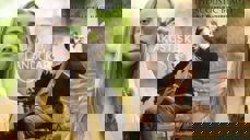 Akustisk Landskap 2023