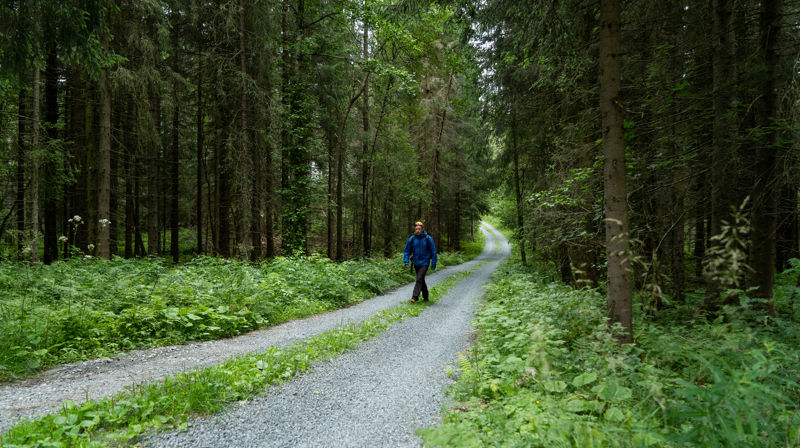 En mann som går på en sti i en skog