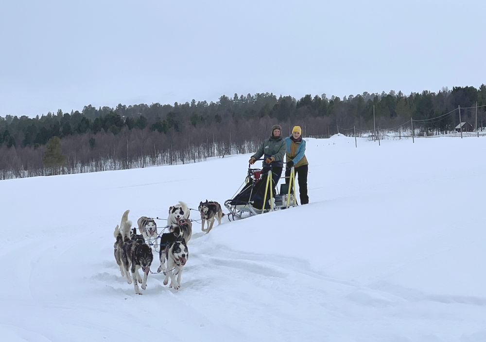 Biskopen på hundekjøring sammen med Beate Berg fra Trollheimen Husky på Nerskogen