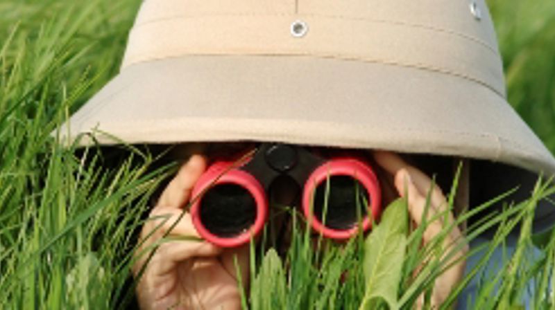 Agent for Rettferdighet - avlyses