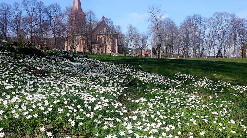 Om Asker kirke