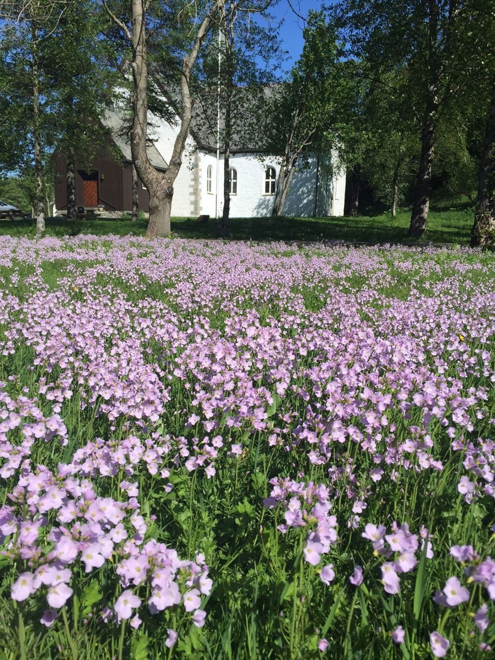 Bodin kirke