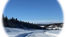 Lenningen