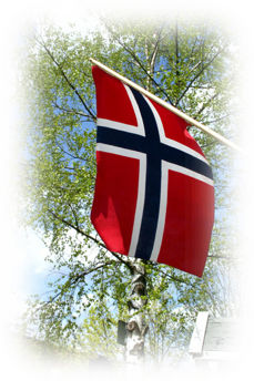 Det norske flagg og bjørk