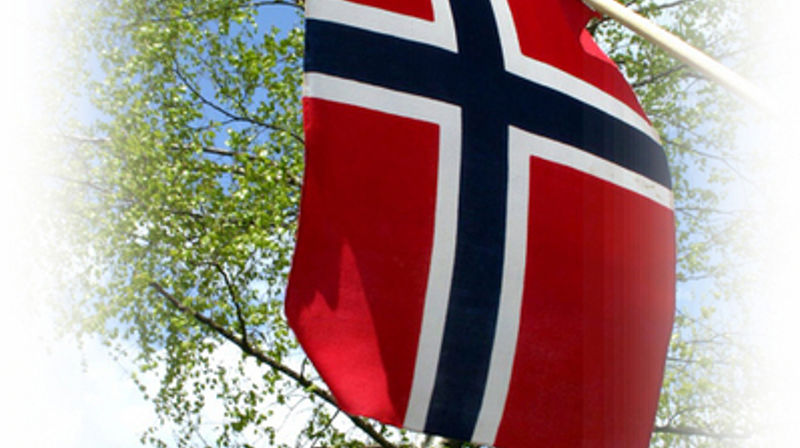 Det norske flagg og bjørk