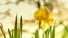 Illustrasjon: pixabay.com