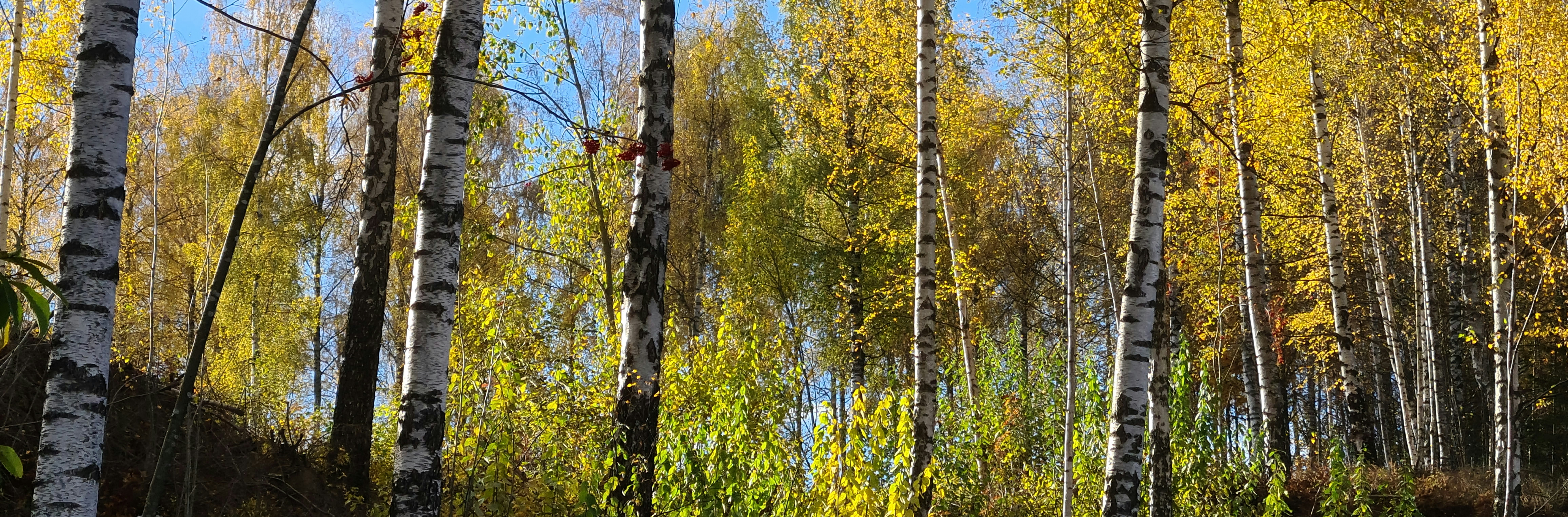 Toppbilde for Kirken i Gjøvik