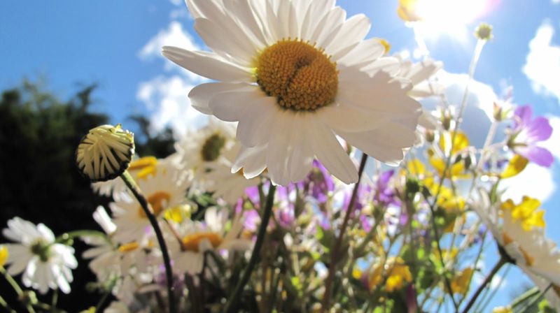 Sommerkonsert i Biri kirke 30. juni