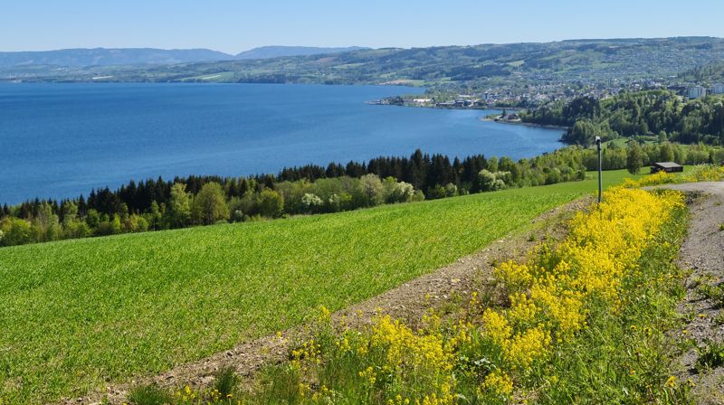 Felles kirkedag i Bråstad kirke - Kristi Himmelfartsdag kl 13.00, med vandring langs pilegrimsleden