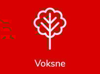 Voksne