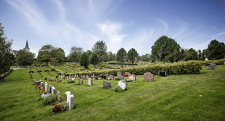 Sommer på Gravplassen