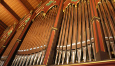 Orgelet i Larvik kirke.
