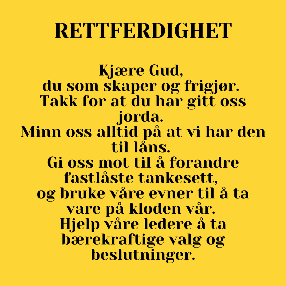 Gul regnbuebønn