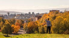 Foto: Niklas Lynau / Oslo kommune