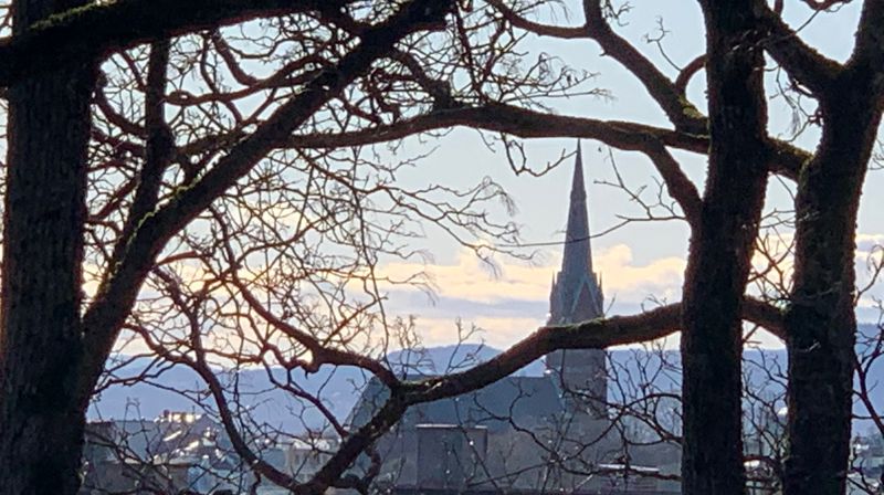 Uranienborg kirke er det best synlige kirketårnet i Oslo. Her ser du det fra toppen av St. Hanshaugen.