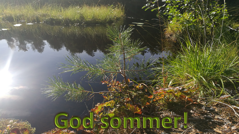 God sommer!