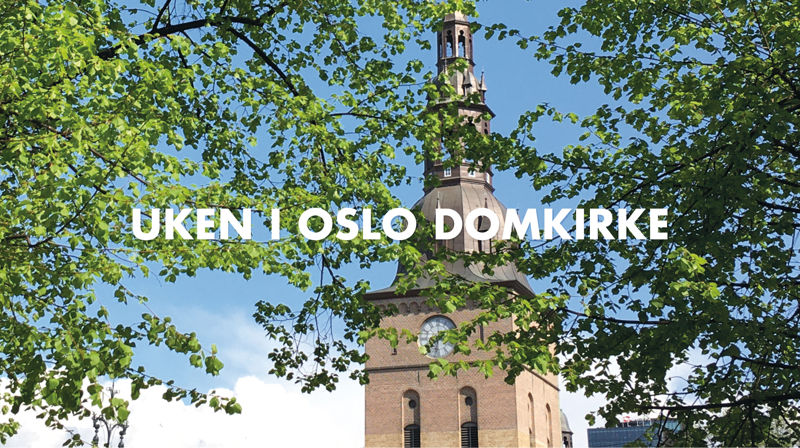 Oslo domkirke 30. mai–6. juni 2023