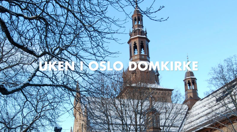 Oslo domkirke 30. januar–7. februar 2023