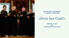 Consortium Vocale Oslo i Flesberg kirke. Foto: Tommy Johansen