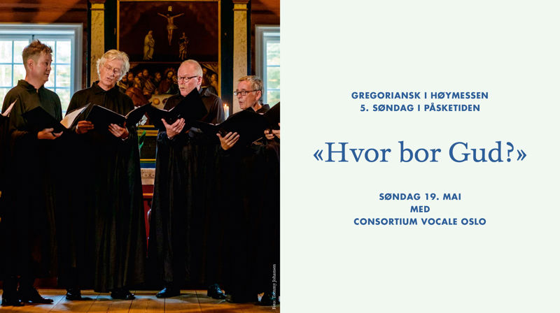 Consortium Vocale Oslo i Flesberg kirke. Foto: Tommy Johansen