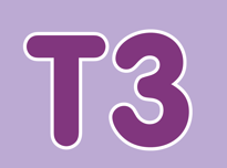 T3
