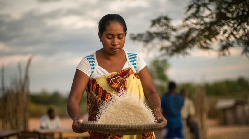 Kvinne på Madagaskar. Foto: Det Norske Misjonsselskap
