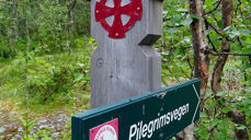 Vegen er godt merket
