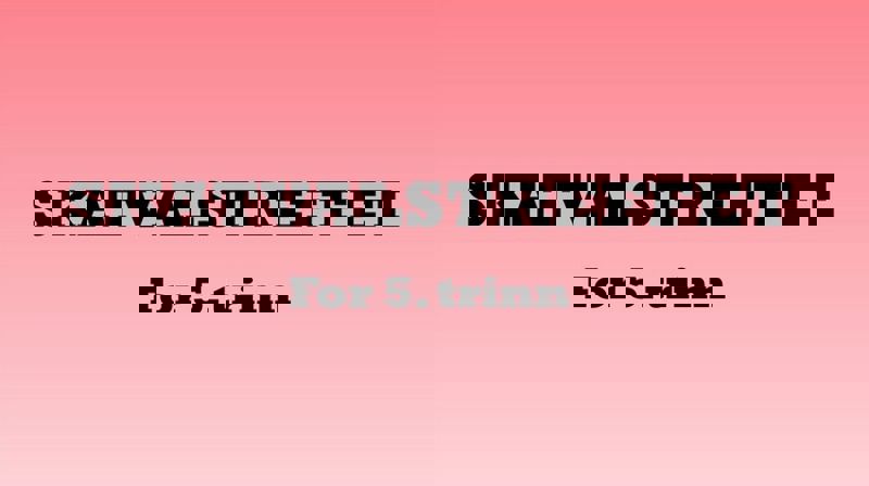 Skatvalstreffet for 5. trinn