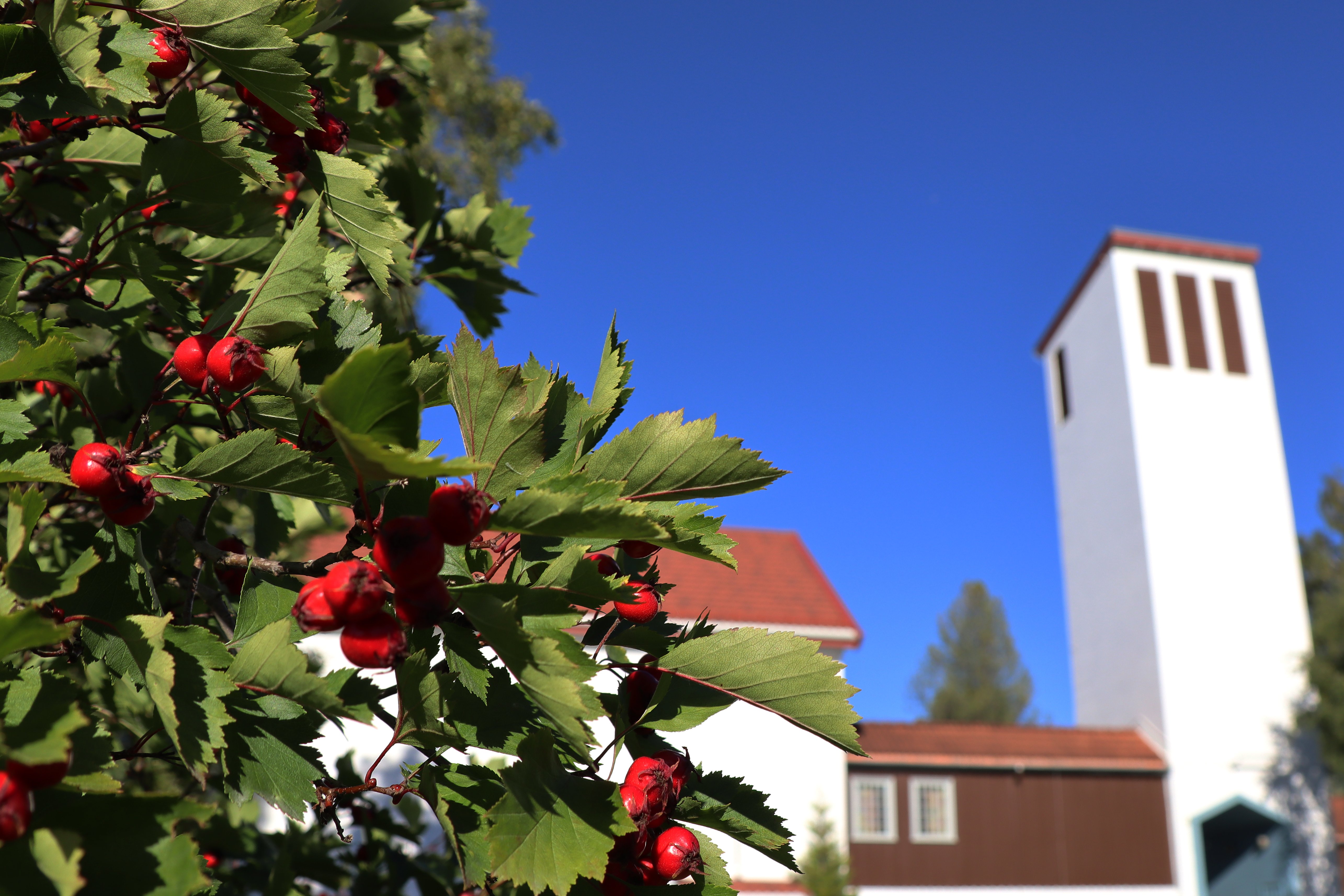 Toppbilde for Heimdal menighet