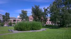 Parkområde ved St. Olavs hospital. Foto: Preste- og samtaletjenesten v. Vansvik