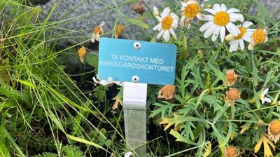 Varslingsmerker på gravplasser, Foto Tysfjord og Hamarøy menighetsråd