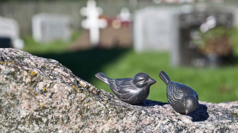 Temakveld om tapserfaringer, sorg og håp