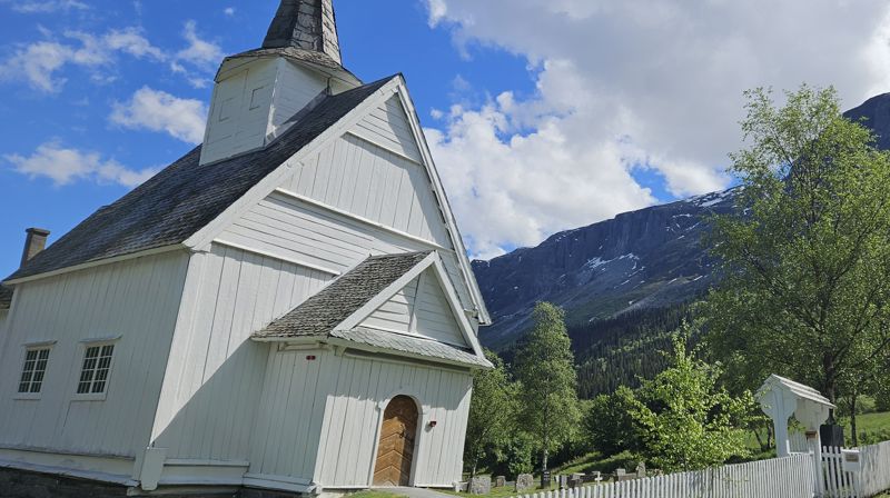 Tårnagentar