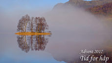 Foto: Trygve Berget
